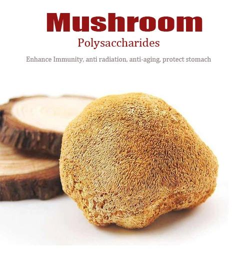 Hericium Erinaceus Polysaccharide Extract Lions Mane Mushroom Extract Hericium Erinaceus